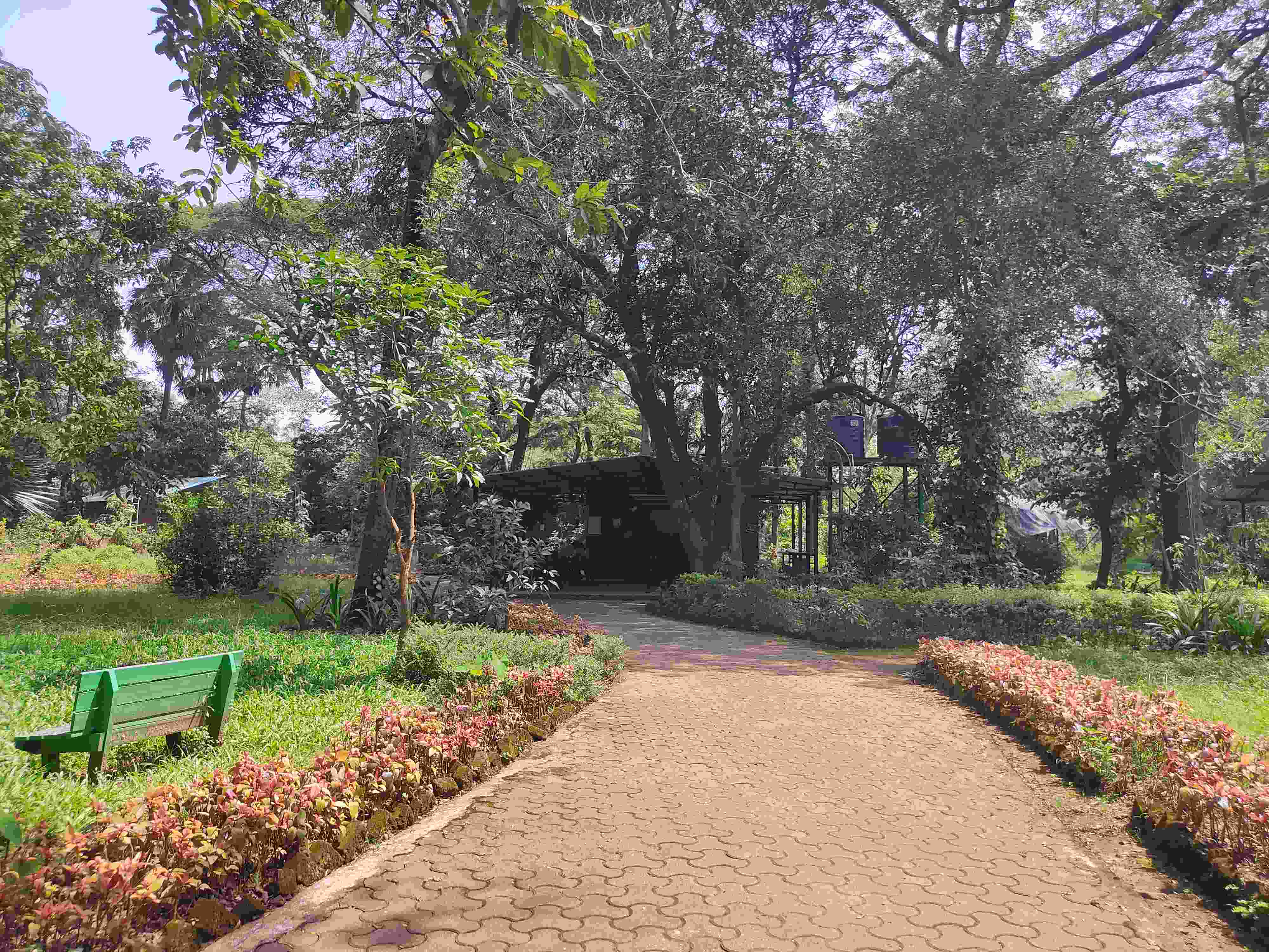 Guest Houses