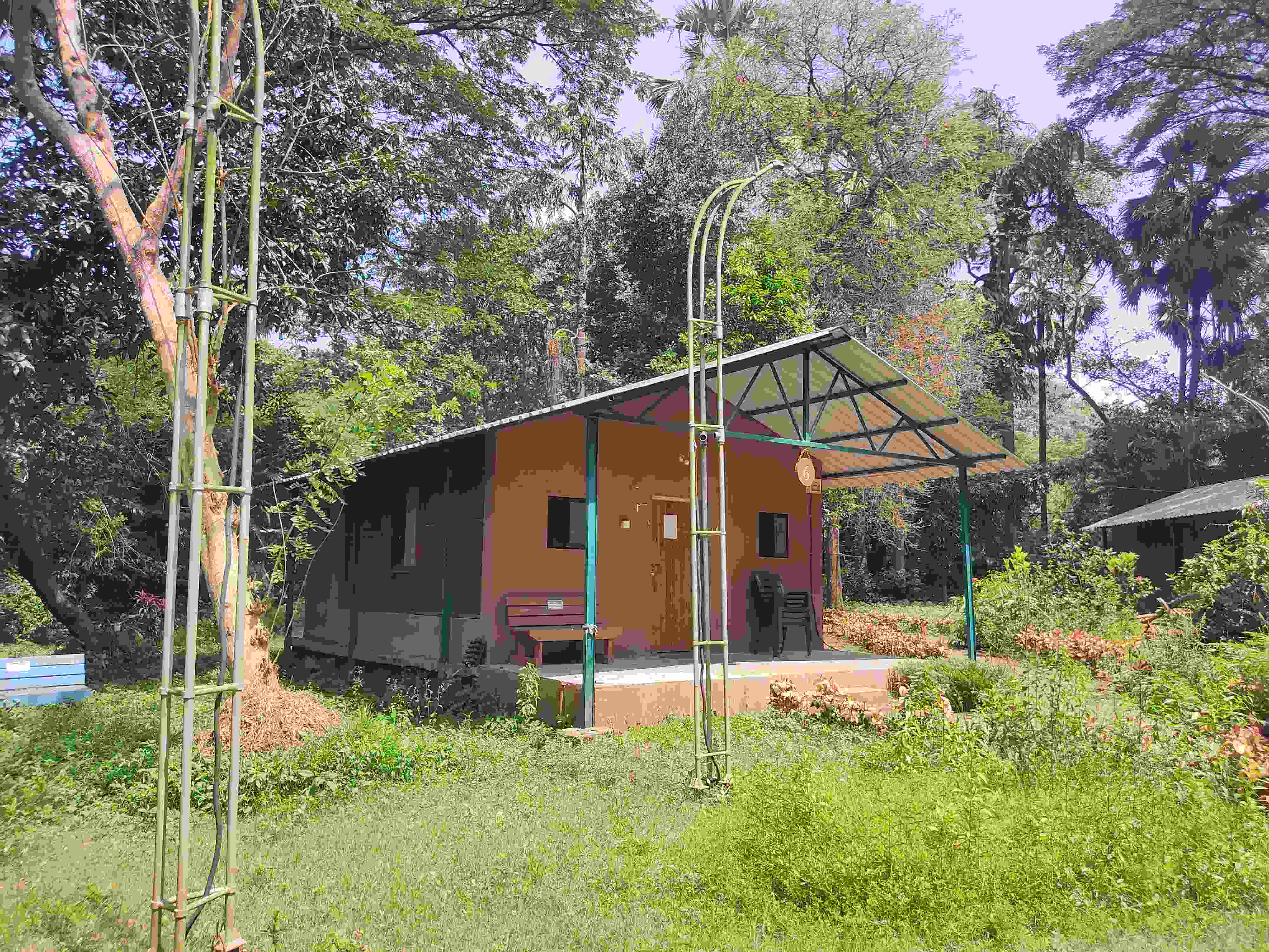 Guest Houses