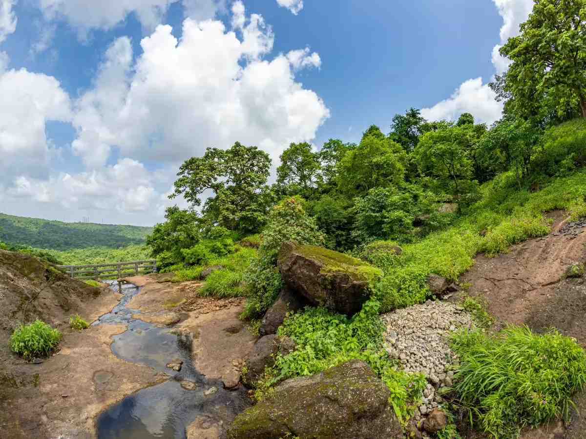 Nature Trek SGNP
