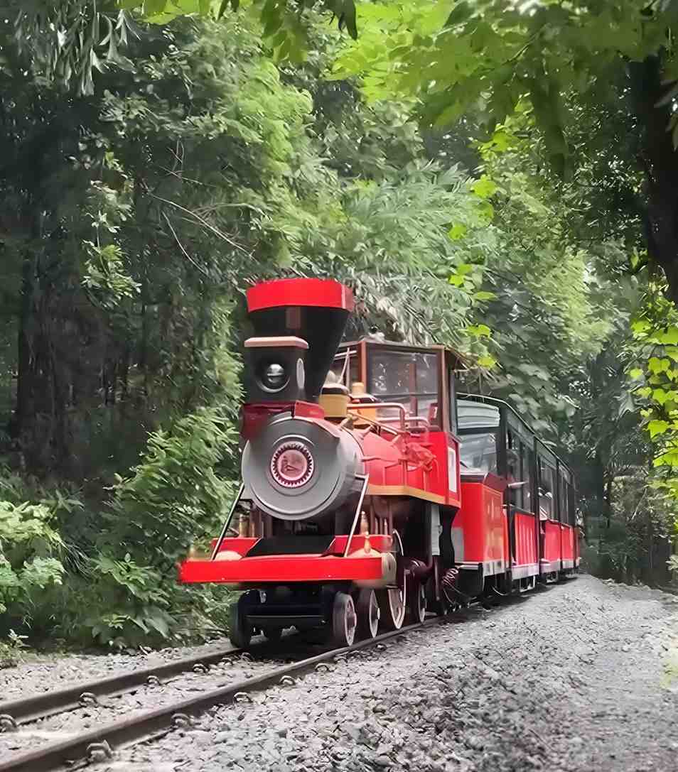 Van Rani Mini Train