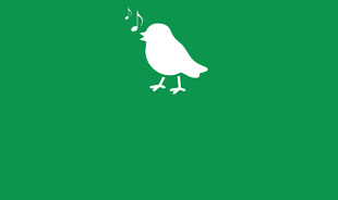 Wildlife Observation Tip
