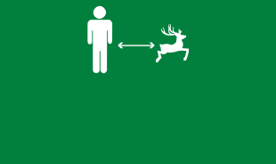 Wildlife Safety Tip