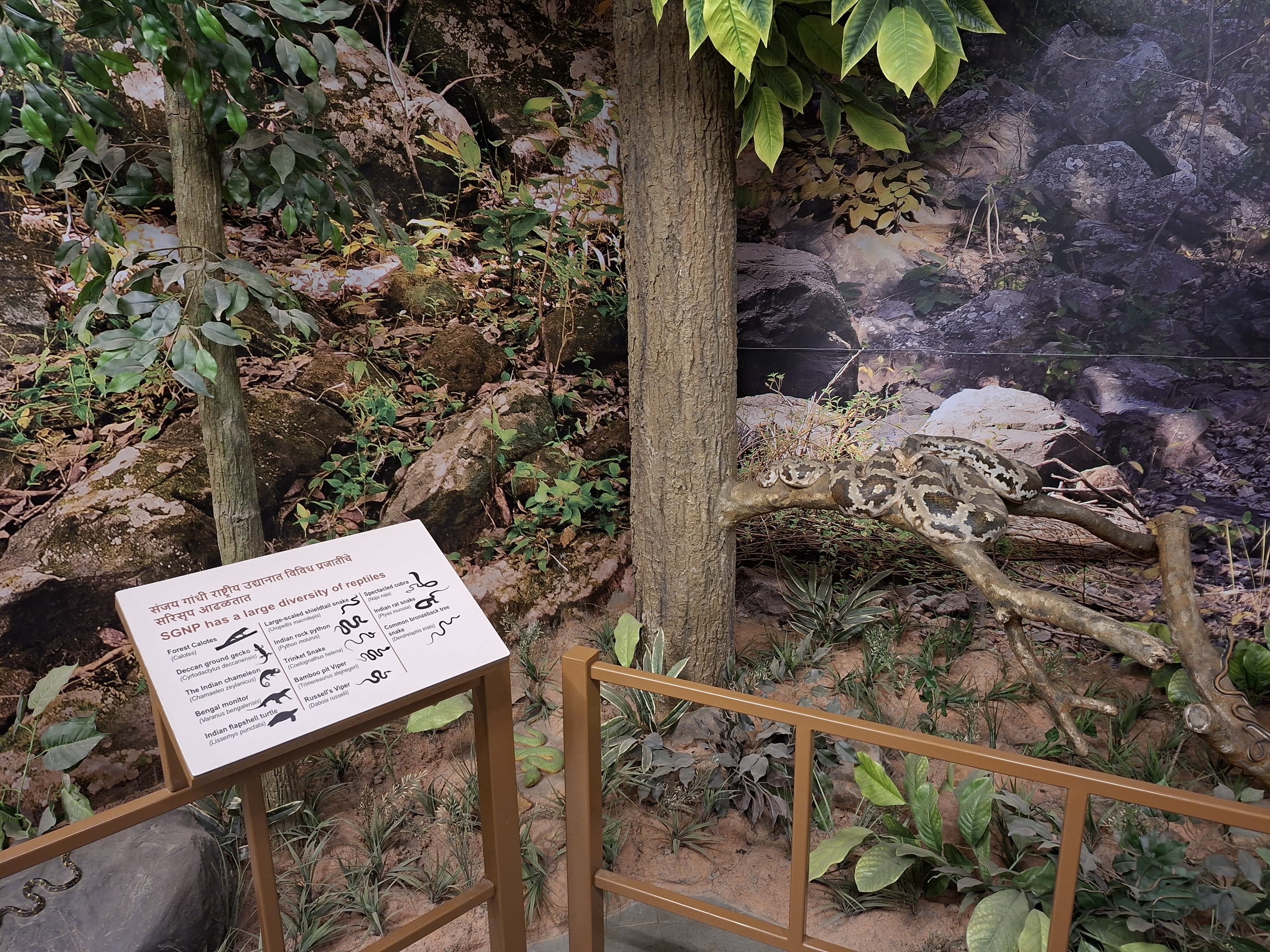 Reptile Diversity SGNP