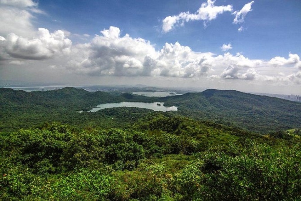SGNP Lakes and Streams